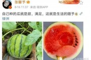 可以吃娱乐圈的瓜,揭秘明星幕后故事