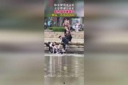 吃瓜群众视频来源,视频来源背后的故事